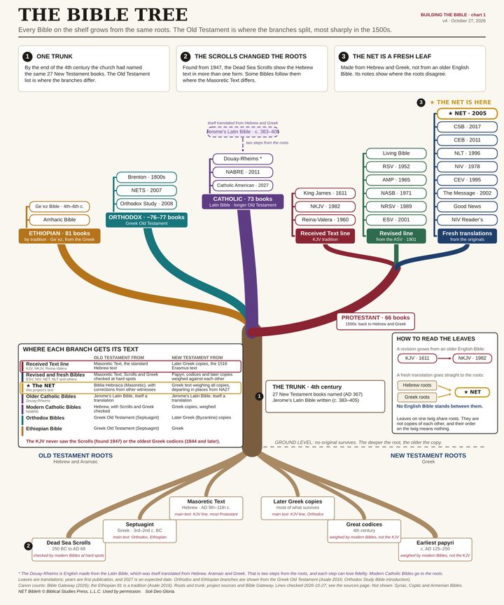 The Bible Tree: a drawing of the Bible as a tree, with the old copies as roots, the New Testament list as the trunk, and today’s translations as branches, twigs and leaves.