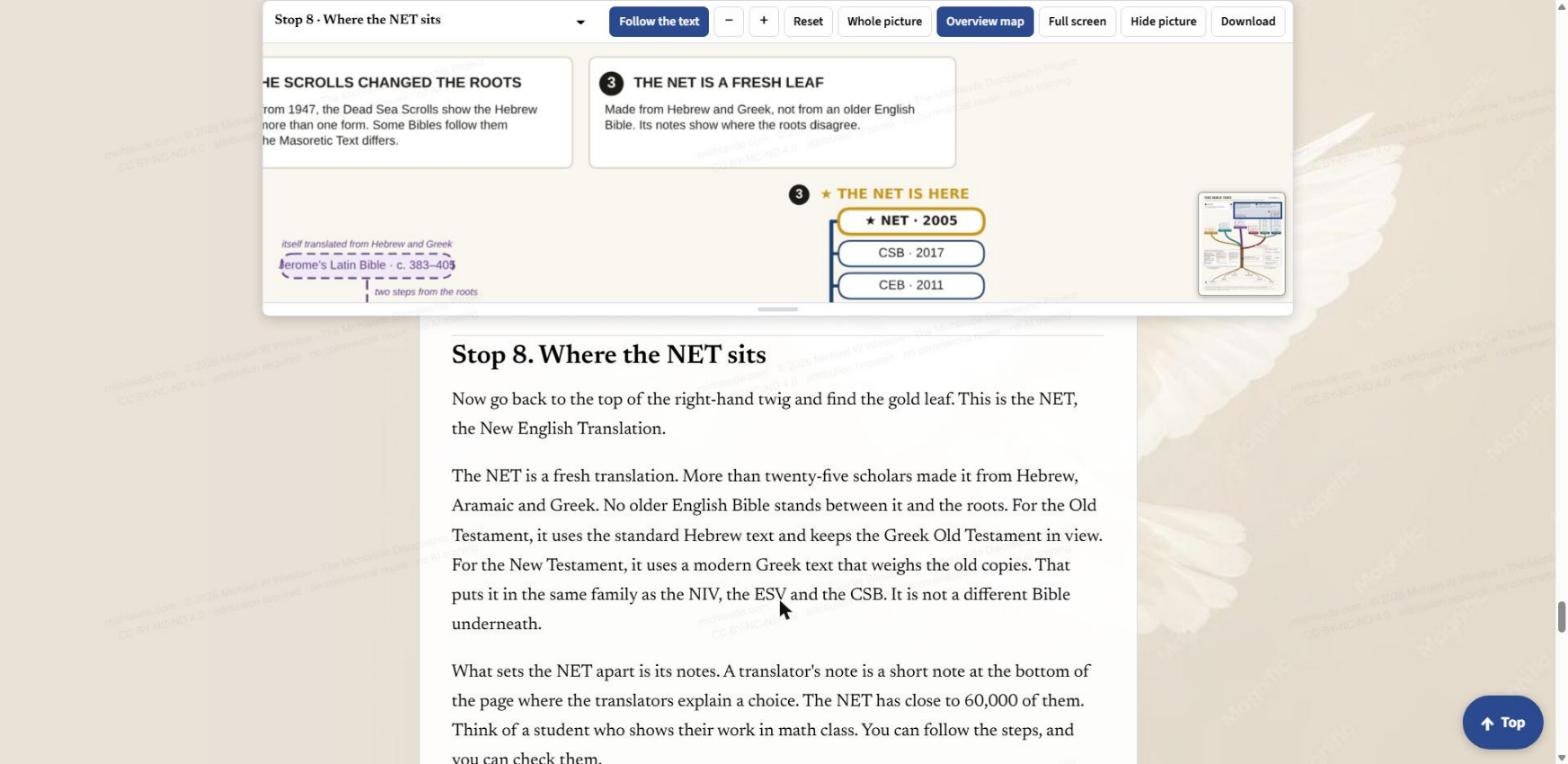 Stop 8, where the NET sits: the gold NET leaf at the top of the right-hand twig, beside CSB and CEB, with the headline box explaining that it is a fresh leaf.